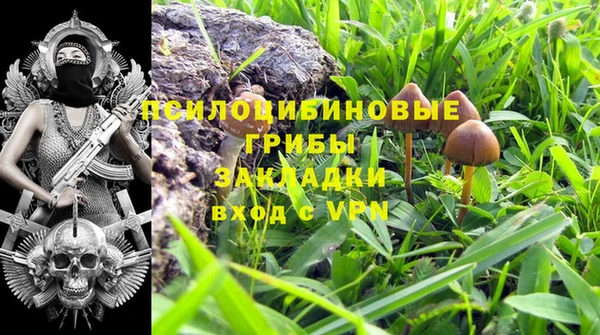 таблы Белокуриха