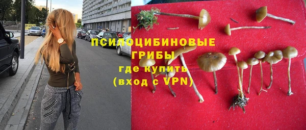 ECSTASY Белоозёрский