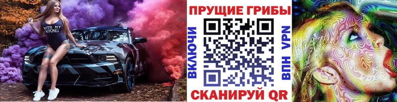 Галлюциногенные грибы Psilocybine cubensis  цены наркотик  Горно-Алтайск 